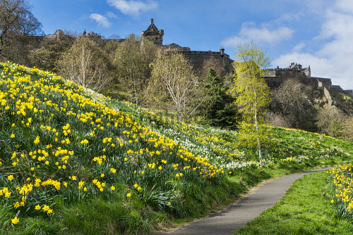 Happy St David’s Day – Dydd Gŵyl Dewi Hapus!